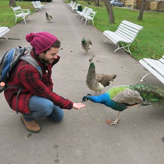 Profile Picture of Guy Shapira (@guy.shapira.9) on Facebook