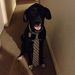 Profile Picture of Ben Covert (@criblo) on Pinterest
