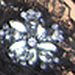 Profile Picture of genesis ortiz (@gen-osis) on Flickr