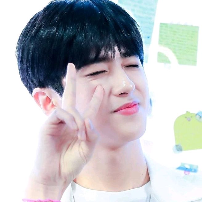 Profile Picture of Daniel (@daniel.keil1) on Tiktok