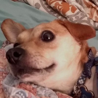 Profile Picture of Matthew Poindexter (@MatthewPoindex8) on Twitter