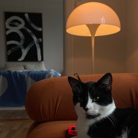 Profile Picture of LucasHolmquist (@HolmquistLucas) on Pinterest