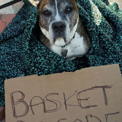 Profile Picture of Jeff Paro (@jeffparo) on Twitter