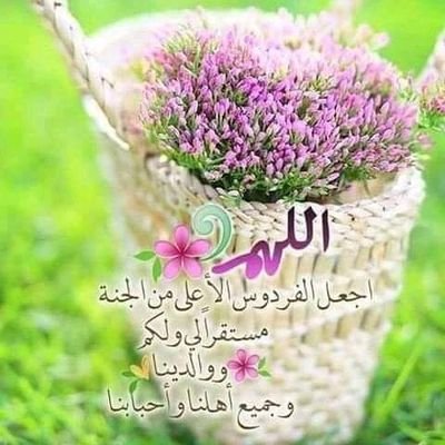 Profile Picture of Bohas Bohas (@BohasBohas1) on Twitter