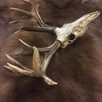 Profile Picture of Dalton Eric Hollingshead (@daltonhollingshead) on Instagram