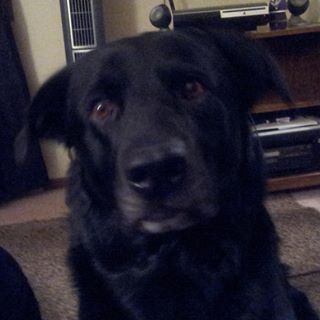 Profile Picture of Jerod Theusch (@jerod.theusch) on Facebook