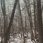 Profile Picture of Blake Pollock (@26_blake_26) on Instagram