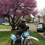 Profile Picture of Daniel Norris (@ddog_413) on Instagram