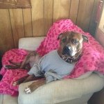 Profile Picture of Justin Rollman (@rollman721) on Instagram