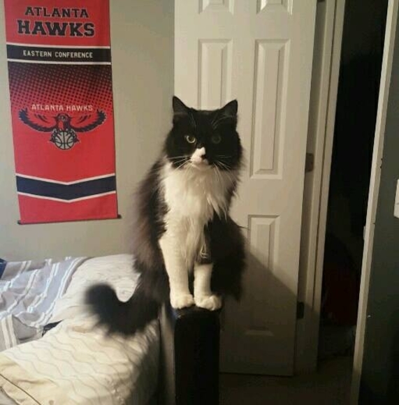 Profile Picture of Tanner Bell (@bellbamaboy) on Poshmark