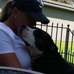 Profile Picture of Robin Bell (@robinbrescues) on Instagram