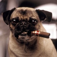 Profile Picture of Brian Parker (@brian-parker-31) on Quora