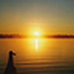 Profile Picture of Bill Thomas (@sunrisekayaker) on Flickr