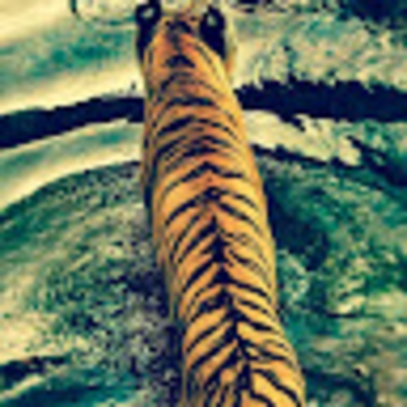 Profile Picture of Tarrah Distad (@tarrahldistad) on Poshmark