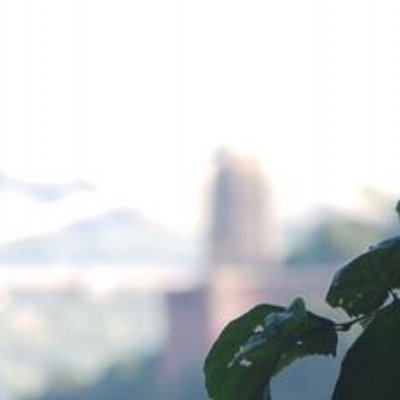 Profile Picture of Alex Hayman XD (@alexhayman27) on Twitter