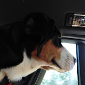 Profile Picture of Jamie Reiser 1234 (@JamieReiser) on Youtube