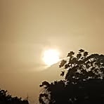 Profile Picture of Lessenberry Daisy (@Lessenberry-Daisy) on Facebook