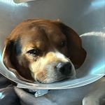 Caleb Bobbitt - Instagram Profile Picture of Caleb Bobbitt (@calebbobbitt) on Instagram