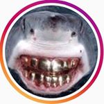 Profile Picture of ALEC BATES (@alec_bates) on Instagram