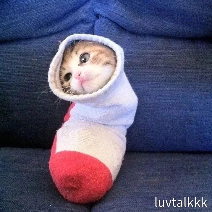 Profile Picture of TonyBelcher (@unnunuhu.com) on Tiktok