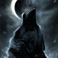 Profile Picture of Joel Pearson (@joel-pearson-18) on Quora