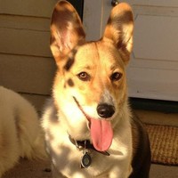 Profile Picture of Chris Tickner (@chris-tickner-6) on Quora