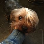 Profile Picture of Clodagh Ryan (@clodagh_ryan_08) on Instagram