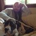 Profile Picture of Dustin Lander (Dustin) (@mdlander78) on Facebook