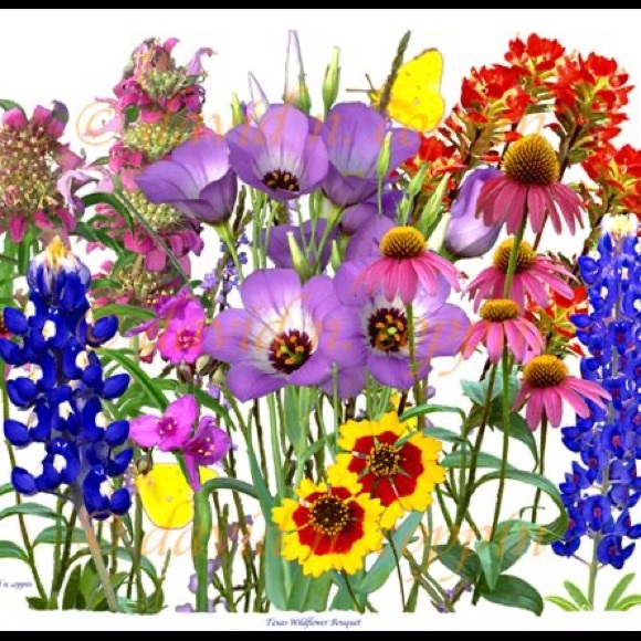 Profile Picture of Cecilia De paz (@mrs_cecygomez) on Poshmark