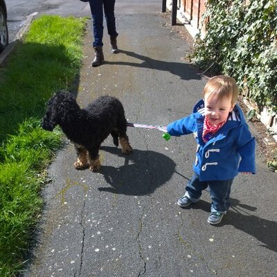 Profile Picture of Tom Hill (@trigger_hill13) on Twitter