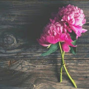 Profile Picture of Kate Owen (@kateowen9503) on Youtube