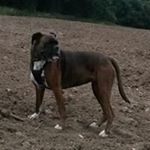 Profile Picture of Stuart Millen (@58_stuart) on Instagram