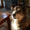 Profile Picture of Sherry Vargo (@sherry.vargo.9) on Facebook