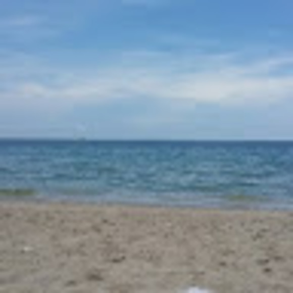 Profile Picture of Mayra Beauchamp (@arch2724) on Poshmark