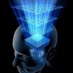 Profile Picture of David Brousseau (@david.brousseau.7792) on Facebook