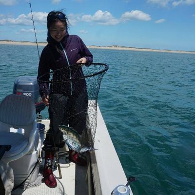 Profile Picture of Sylvia Chang (@fromthewoods) on Twitter