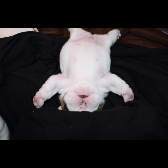 Profile Picture of Tracy Nicholas (@tracyn67) on Poshmark