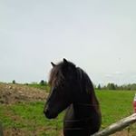 Profile Picture of debbie tremblay (@deb.tremblay) on Instagram