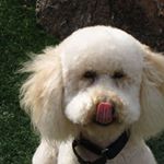 Profile Picture of Thomas W Grohmann (@thomas.w.grohmann) on Instagram