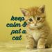 Profile Picture of Mimieyamie Mohd (@hamidahmohamad2) on Pinterest