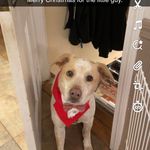 Profile Picture of Cathy Avery Libby (@cathylibby) on Instagram
