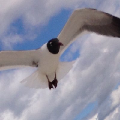 Profile Picture of Kerry Rutter (@rutter_kerry) on Twitter