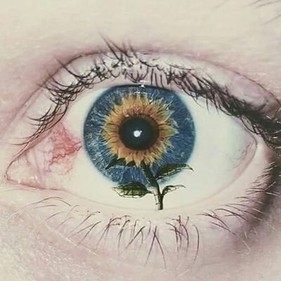 Profile Picture of Michael.. (@MichaelMondra14) on Twitter