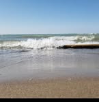 Profile Picture of Jacob Dyck (@Jacob-Dyck) on Facebook