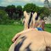 Profile Picture of Cassandra Bonivace (@Cassandra-Bonivace) on Facebook