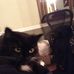 Profile Picture of Martin Mattson (@martin.mattson.92) on Facebook