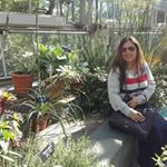 Profile Picture of Richa Tyagi (@richa._.tyagi) on Instagram