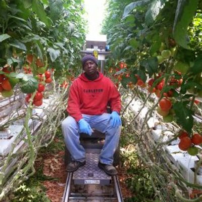 Profile Picture of Mark Crooks (@markcrooks39) on Twitter