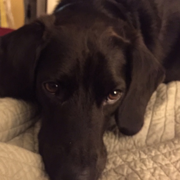 Profile Picture of L Hunt (@coolsavvy1) on Poshmark