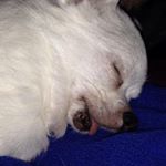 Profile Picture of Paula Stubblefield (@paula8558) on Instagram